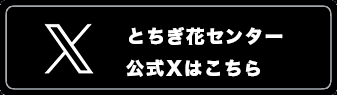 公式Twitter