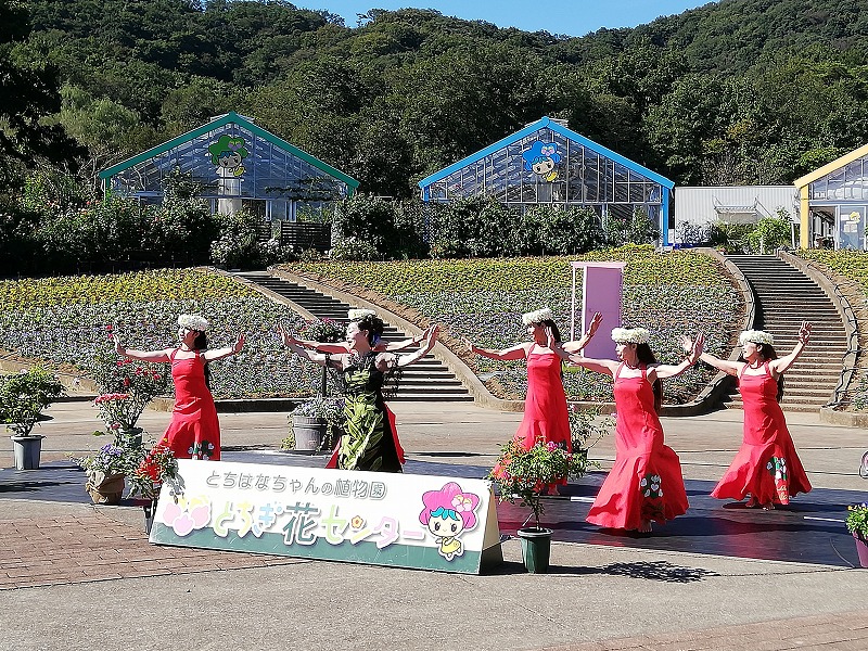 イベント とちぎ花センター イベント とちぎ花センター