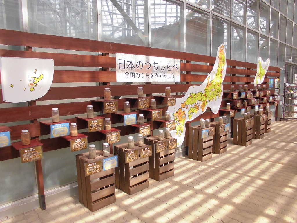 すべてのイベント一覧 とちぎ花センター すべてのイベント一覧 とちぎ花センター