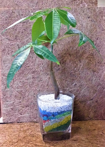 体験教室 とちぎ花センター