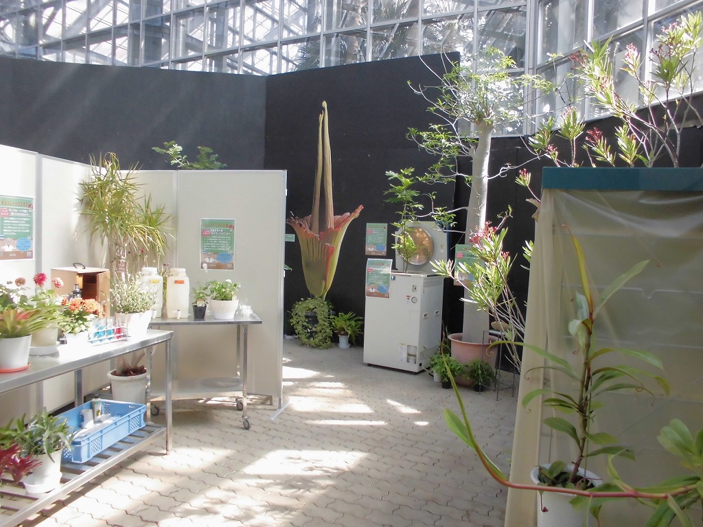 すべてのイベント一覧 とちぎ花センター すべてのイベント一覧 とちぎ花センター