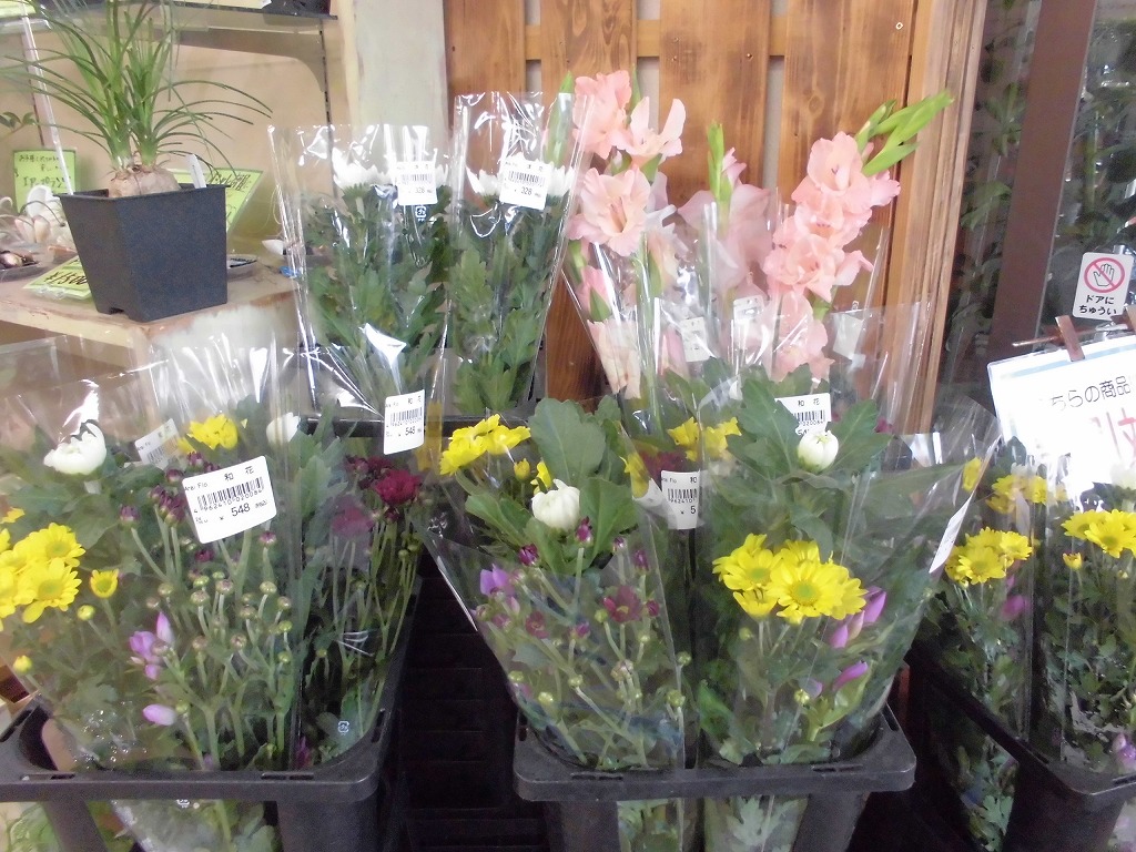 切り花販売中 とちぎ花センター