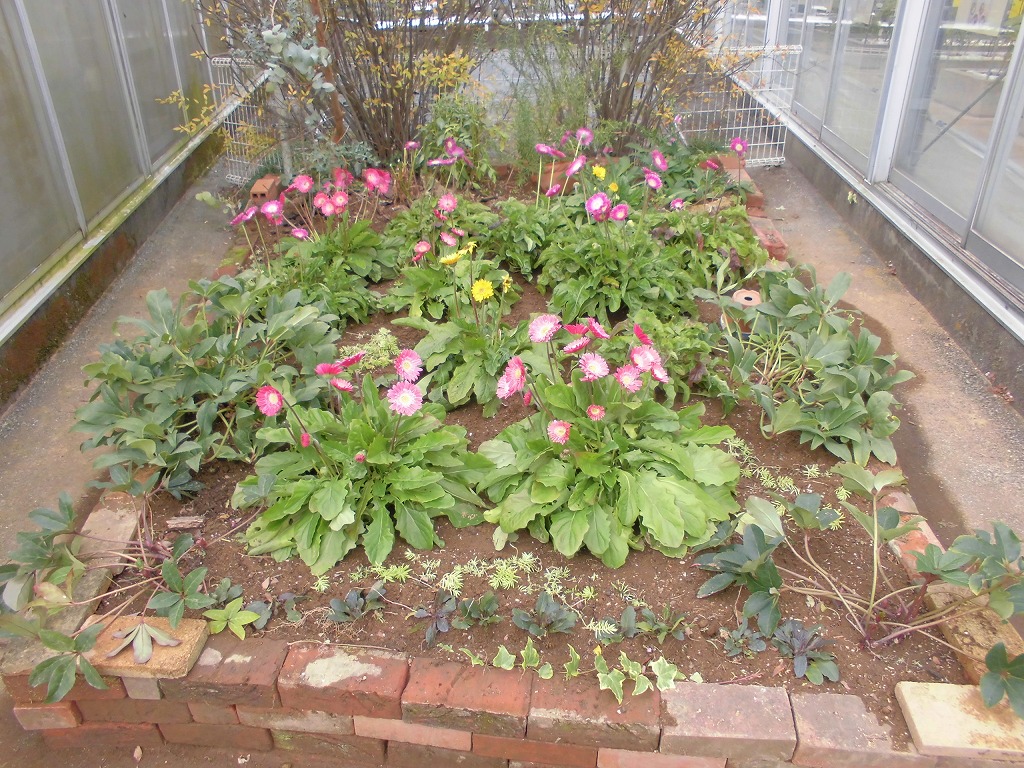 青と緑の温室の間の花壇