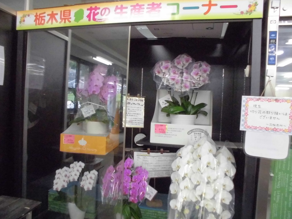 贈り物に