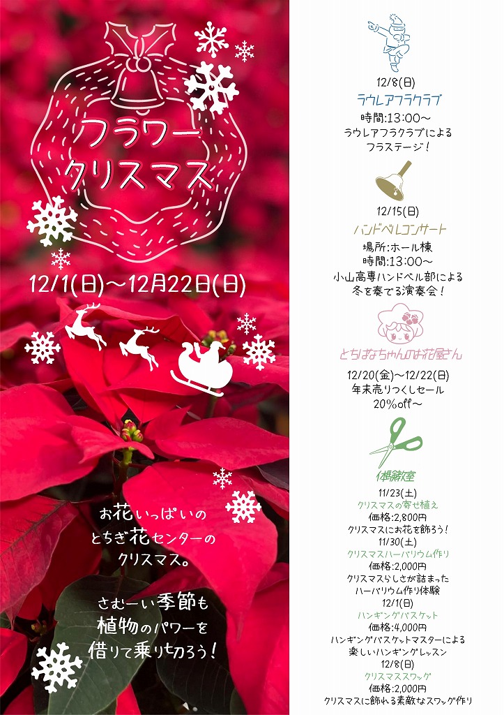 フラワークリスマス　12/1～12/22