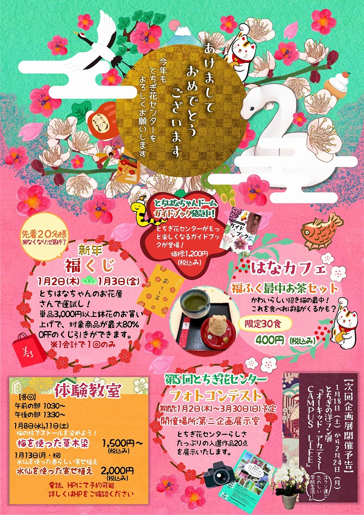 とちぎ花センターのお正月　1/2～