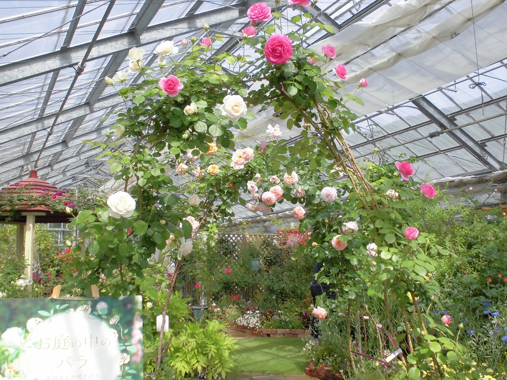 「お庭の中のバラ」（緑の温室）