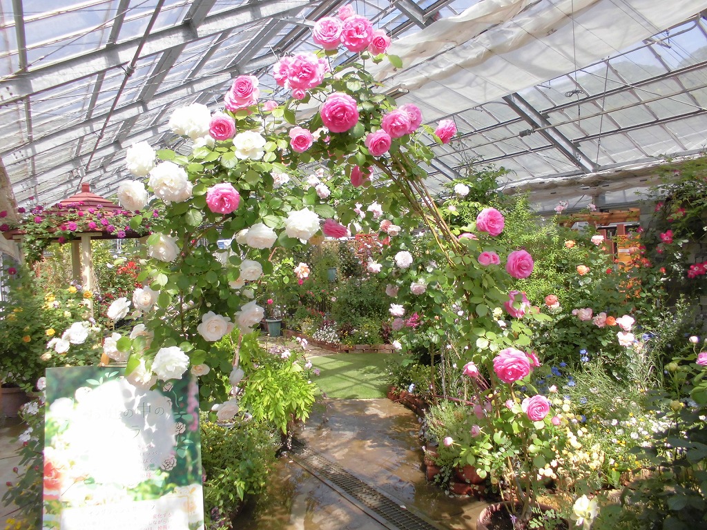 「お庭の中のバラ」（緑の温室）
