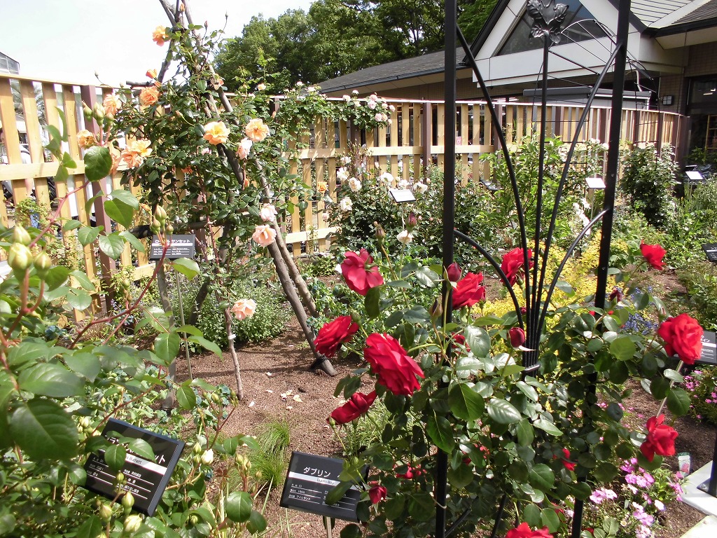 新エリア「秘密の花園」オープン