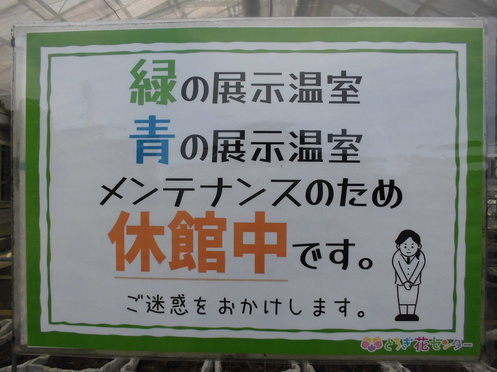 緑と青の温室はメンテナンス中