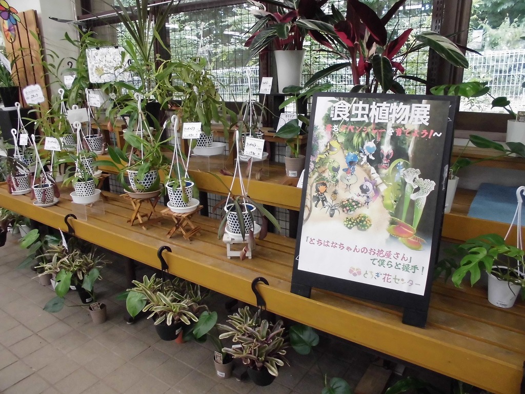 スーちゃん お花のおうち 楽天市場】《小サイズ》米寿祝いベア FUU フレグランスソープ