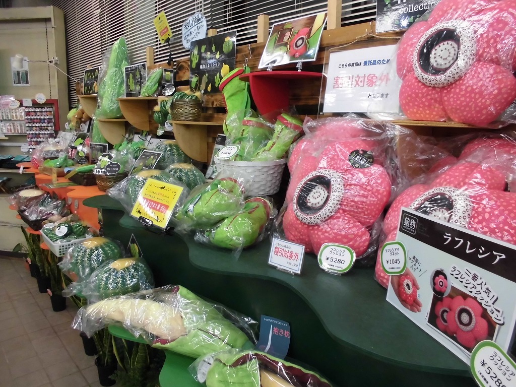 熱帯植物等グッズが充実