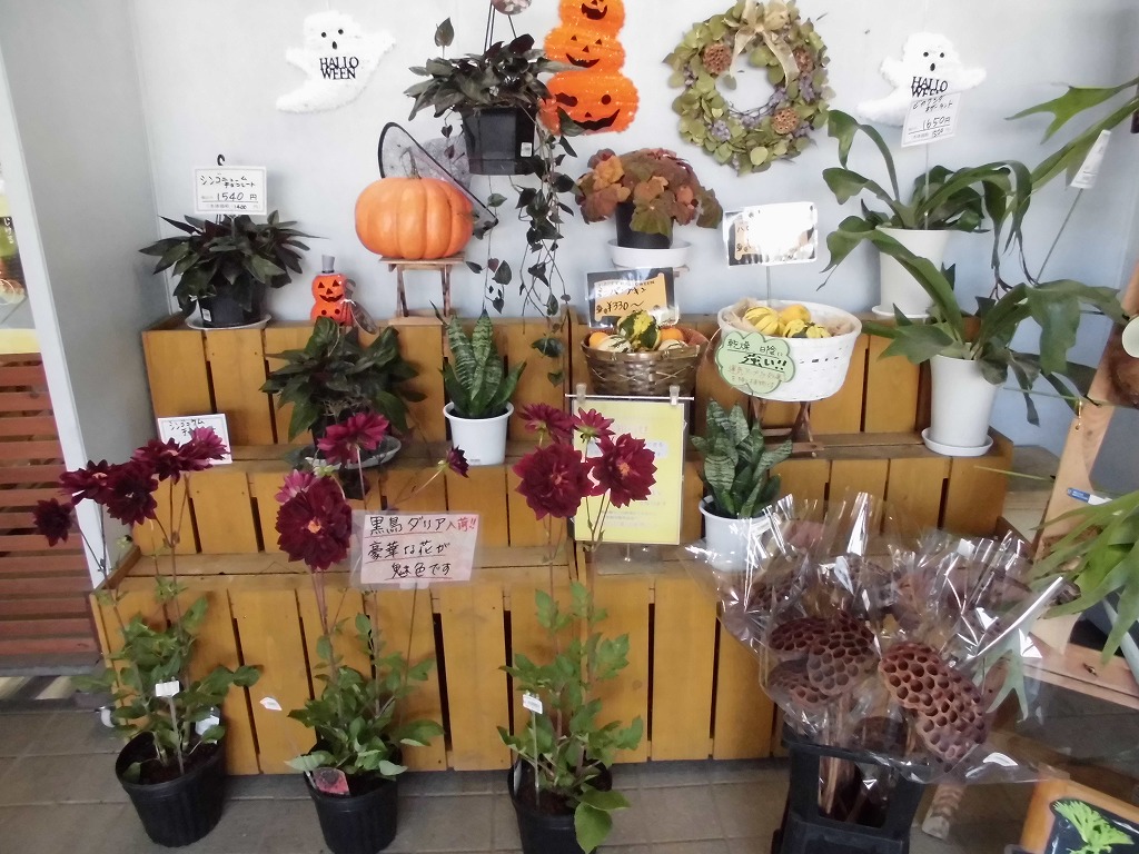 お花屋さんもハロウィン仕様