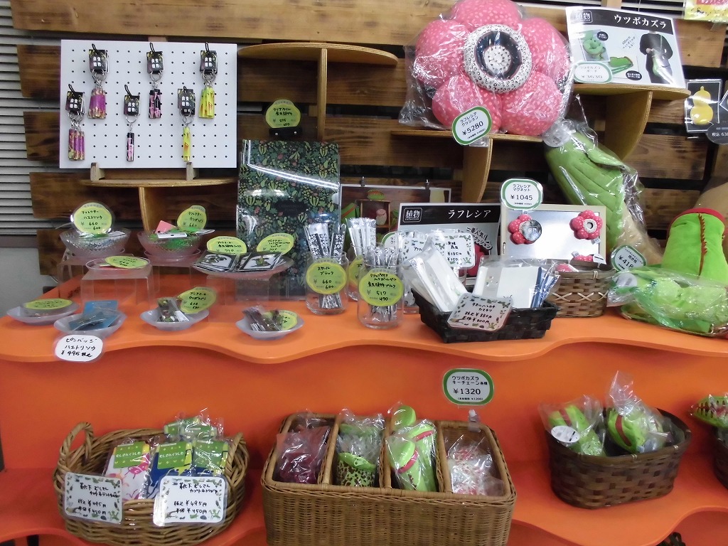 新しい熱帯植物グッズ販売中