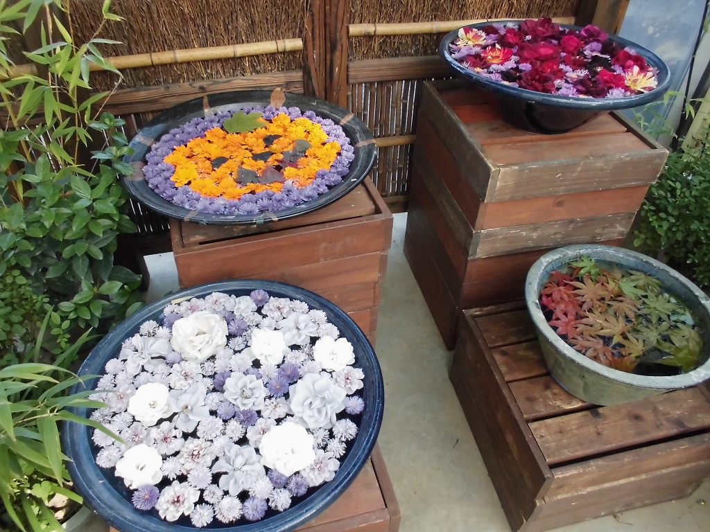 緑の温室の花手水
