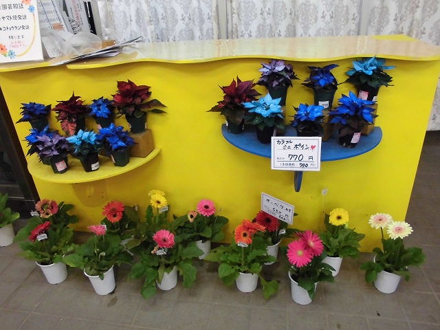 普通のものでは飽き足りない方に