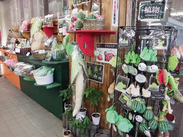 植物グッズが充実