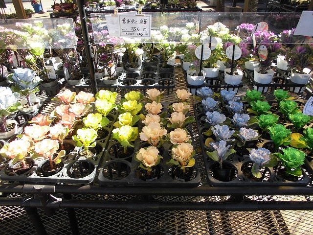 普通のものでは飽き足りない方に