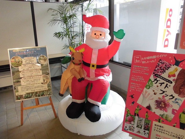 ホール棟にクリスマス