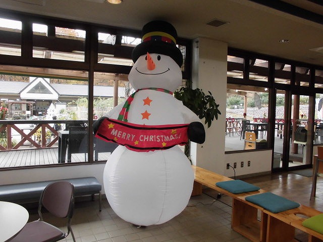 ホール棟にクリスマス