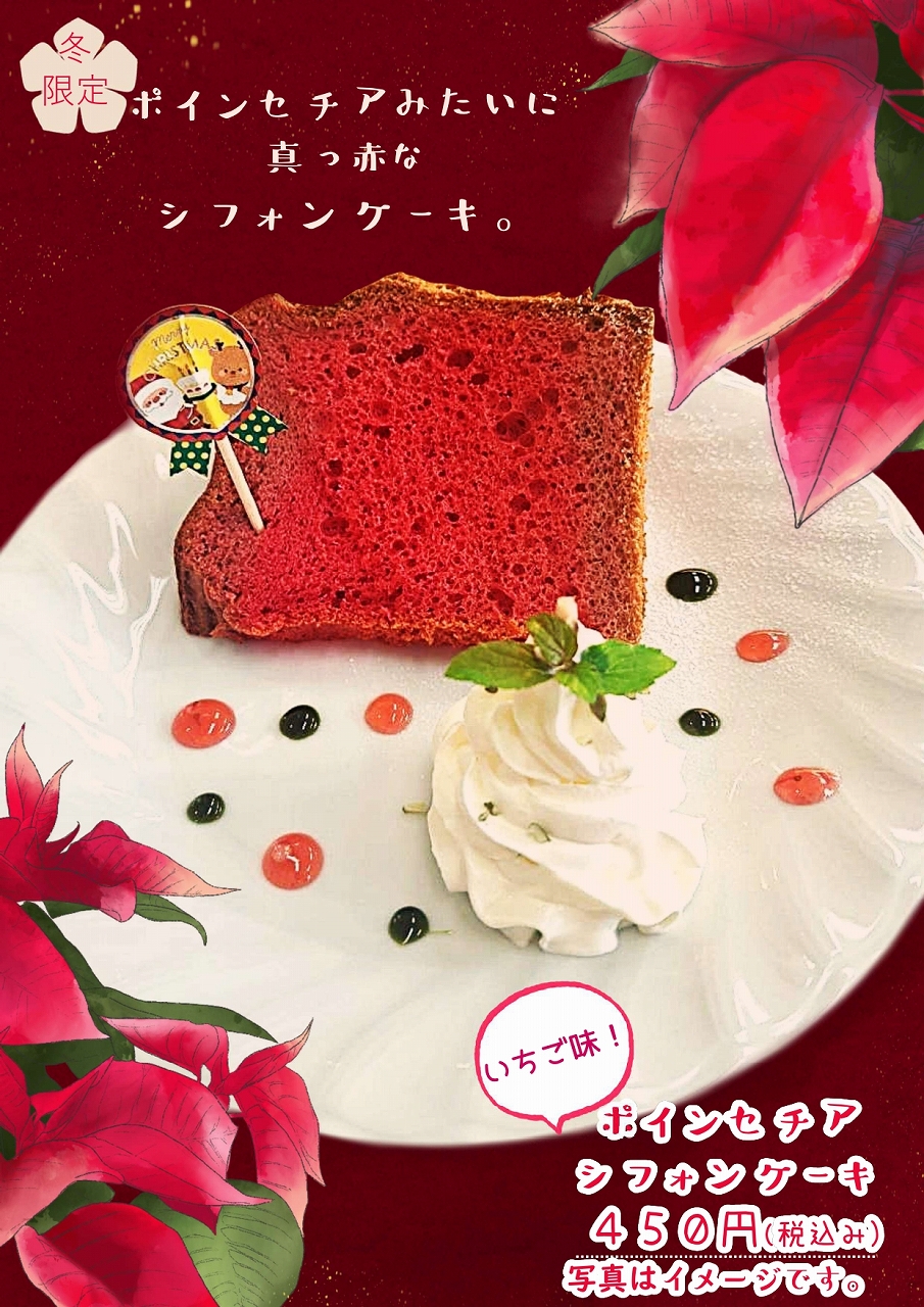 ポインセチア展開催中！花センターへ行こう!!