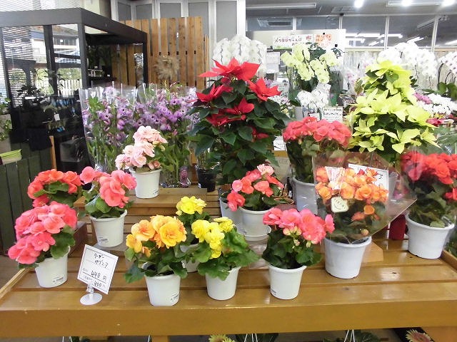 20％offのお得なセール（１２月７日、２０日）