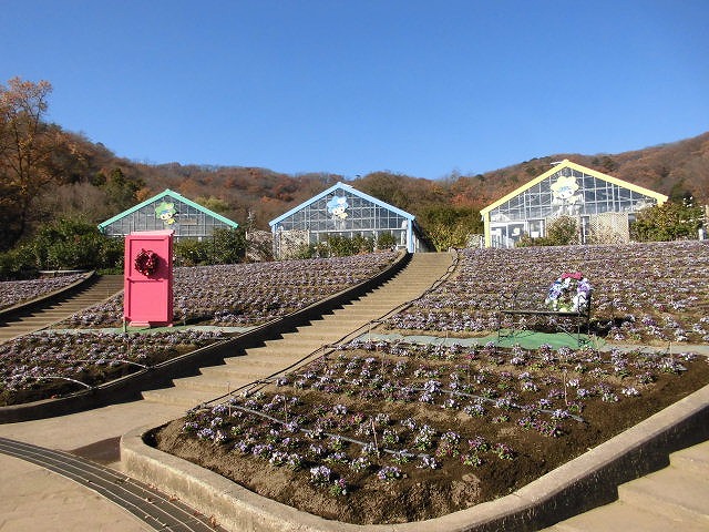 大花壇「ピンクガーデン」