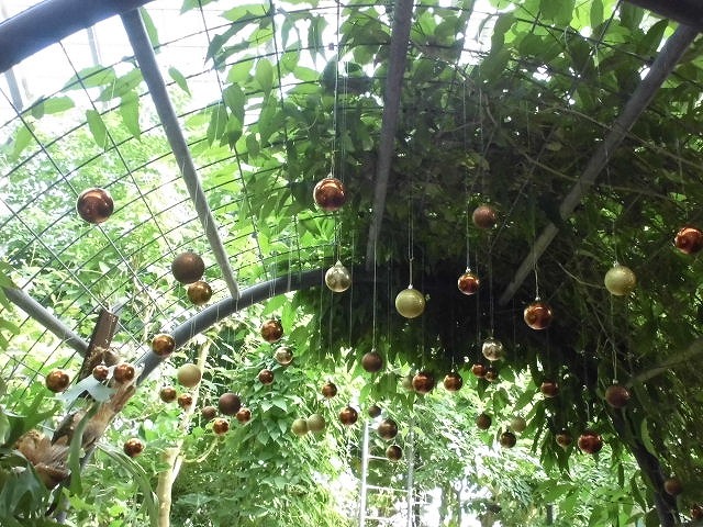 ドームの中にクリスマス飾り