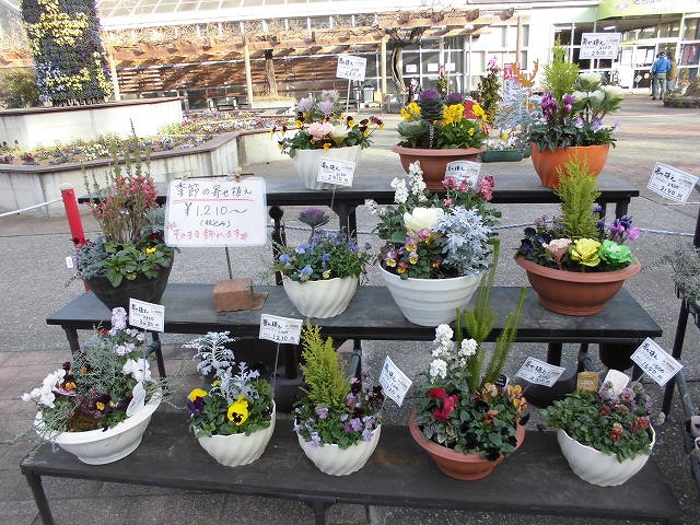 季節の寄せ植え