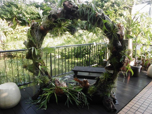 大温室ならではの特大リース（ドーム）