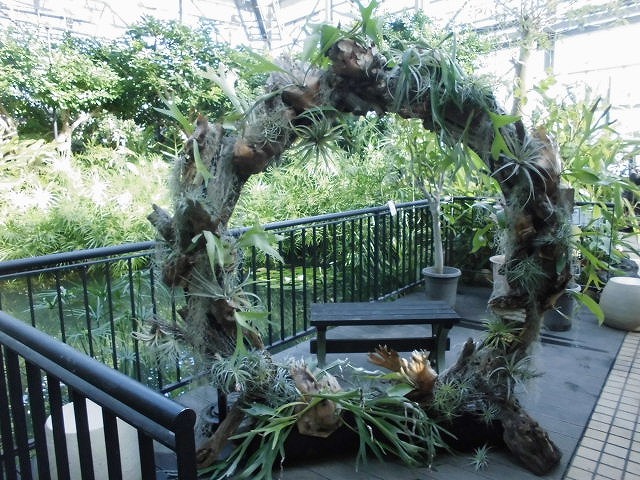 大温室ならではの特大リース（ドーム）