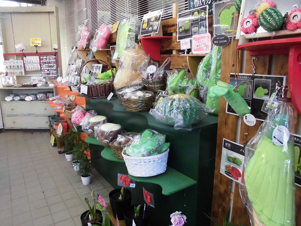 新しい植物グッズ販売中