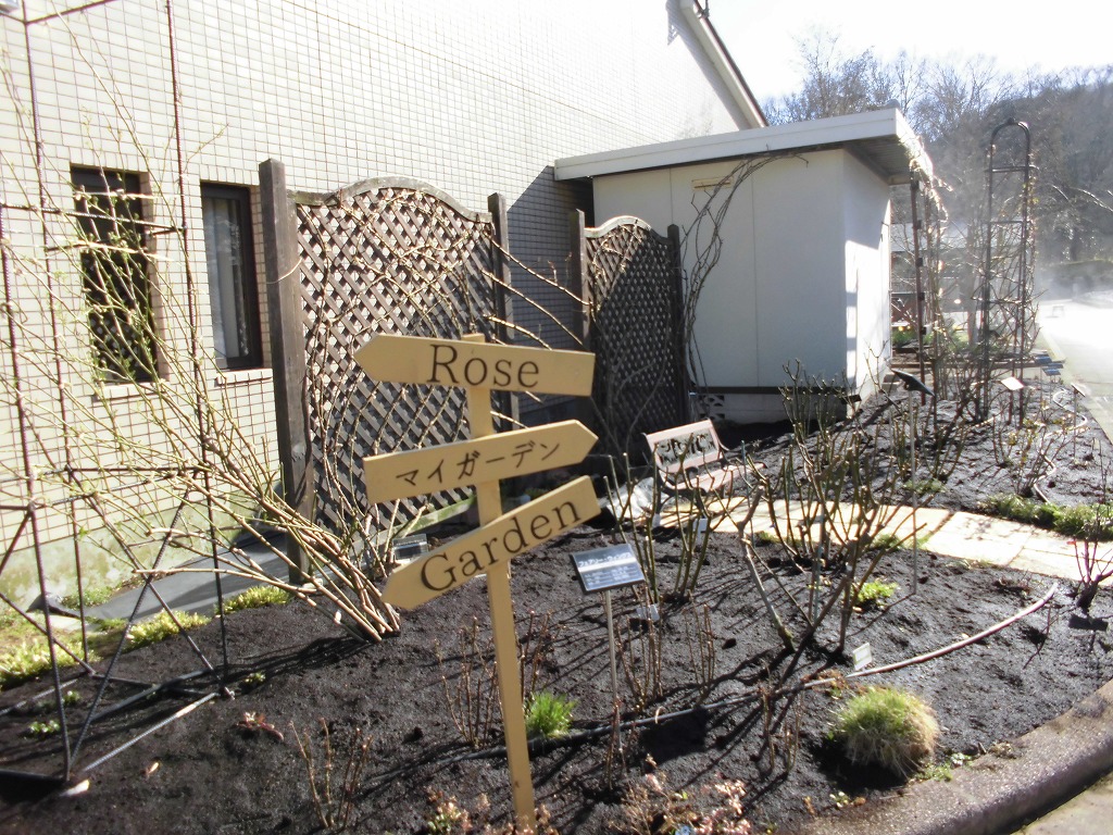 春を待つマイガーデン