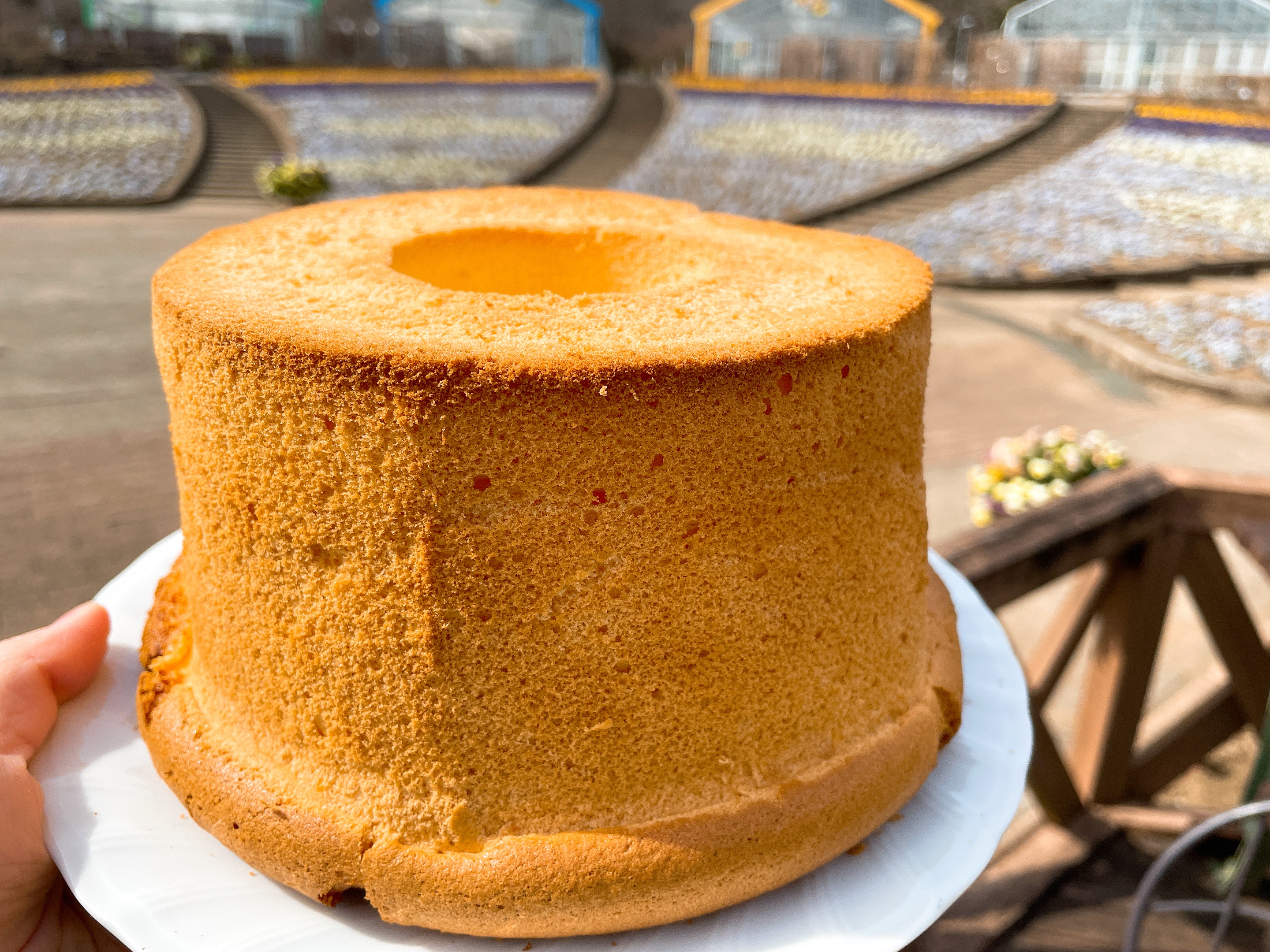 とちぎ花センター とちぎ花センター